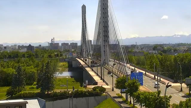 参考画像