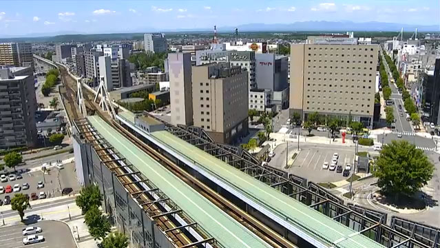 参考画像
