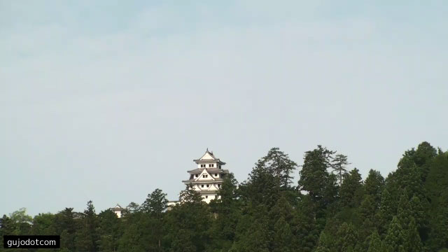 参考画像