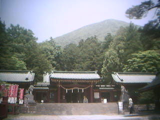 参考画像