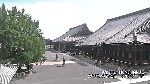参考画像