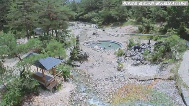 参考画像