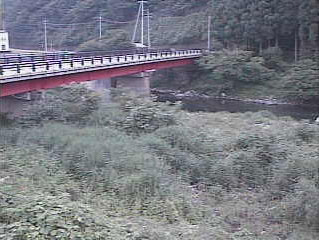 参考画像