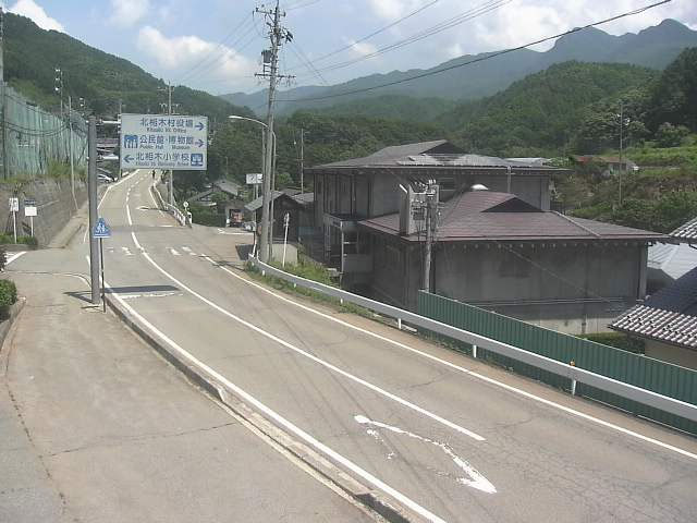 参考画像