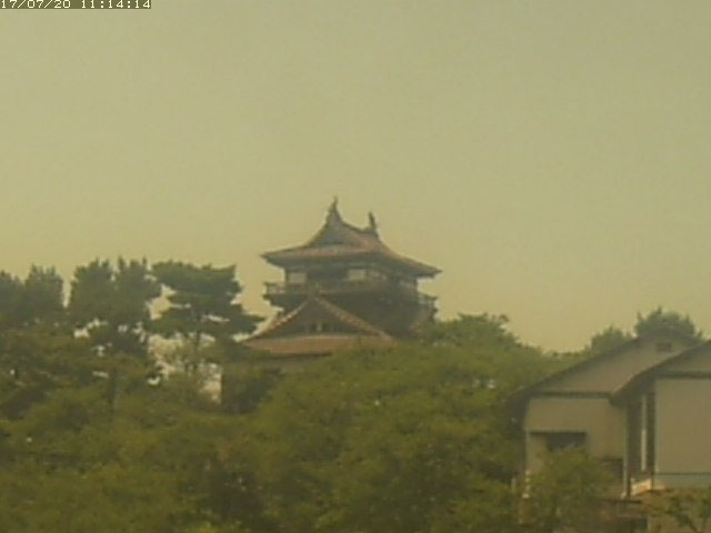 参考画像