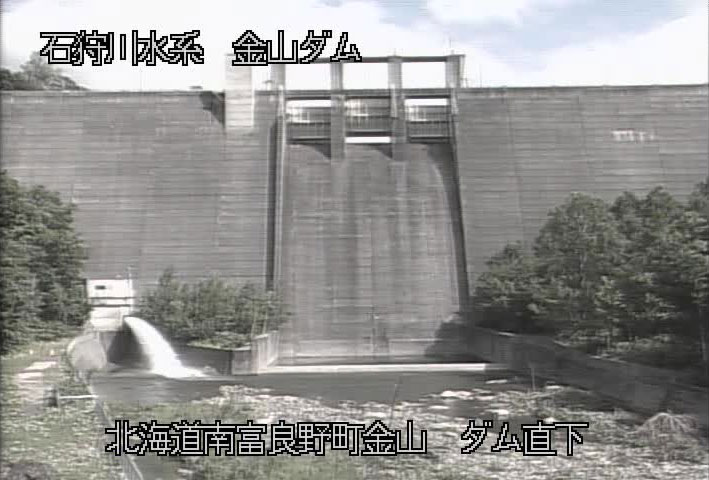 参考画像