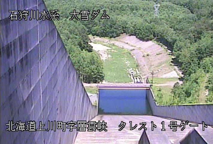 参考画像