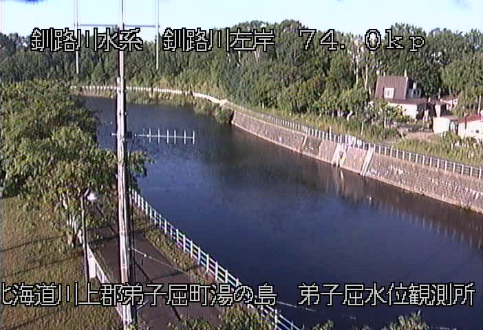 参考画像