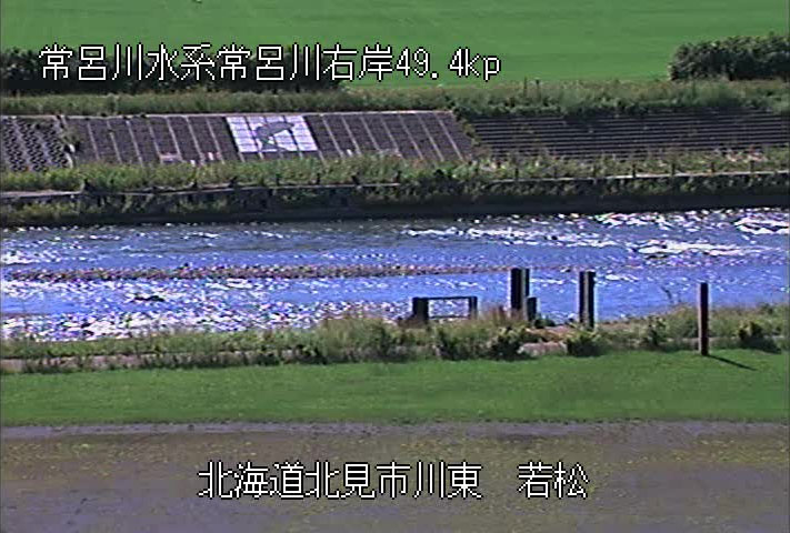 参考画像