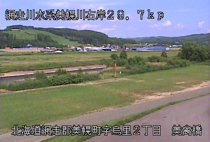 参考画像