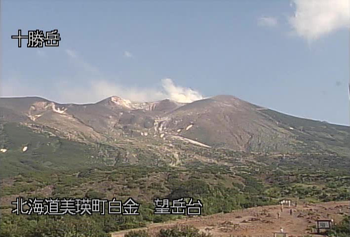 参考画像