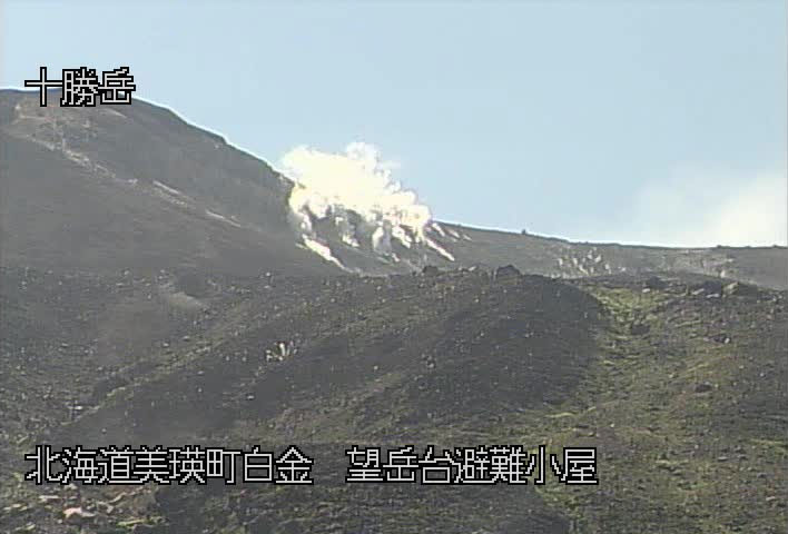 参考画像