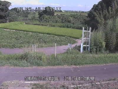 参考画像