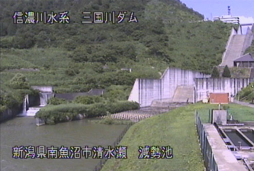 参考画像