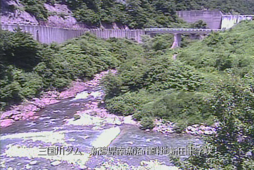 参考画像
