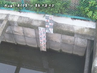 参考画像