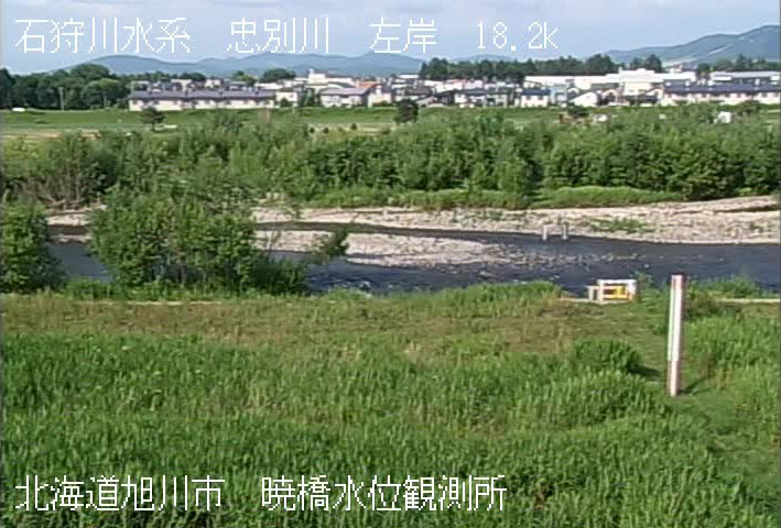 参考画像