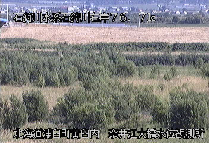 参考画像