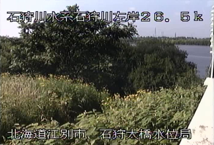 参考画像