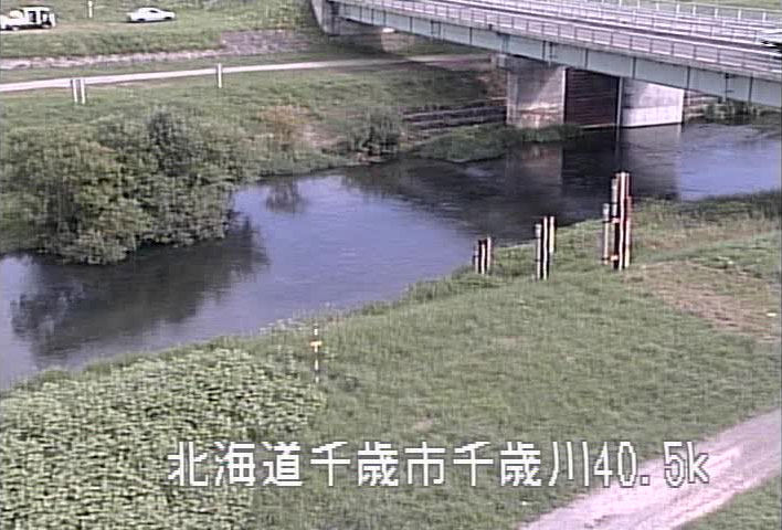 参考画像