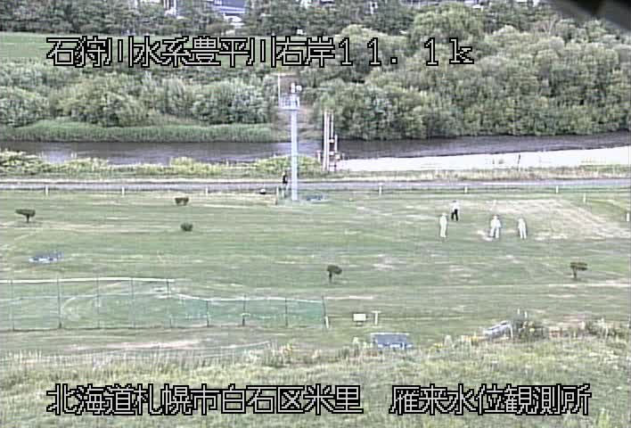 参考画像