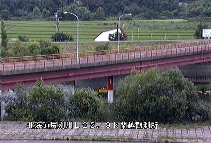 参考画像