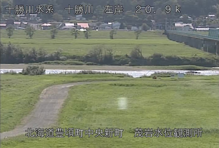 参考画像