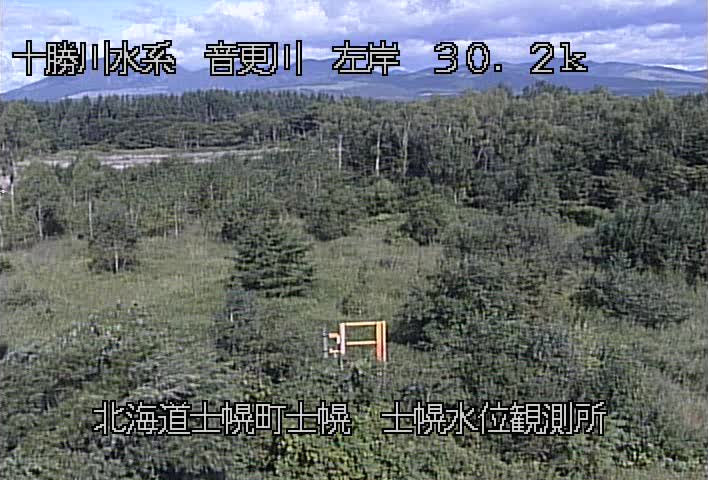 参考画像