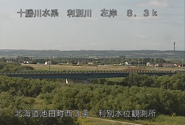 参考画像