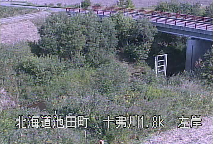 参考画像