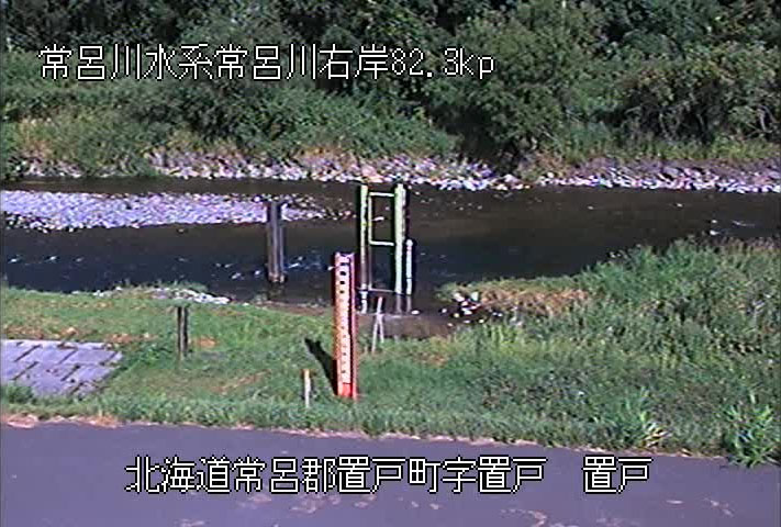 参考画像