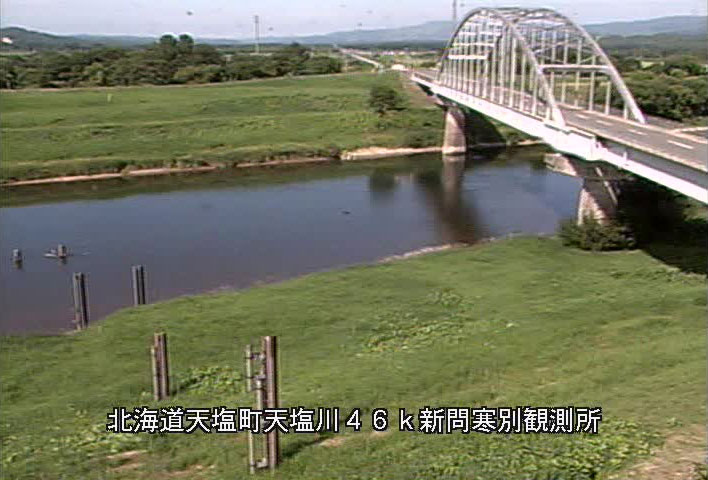 参考画像