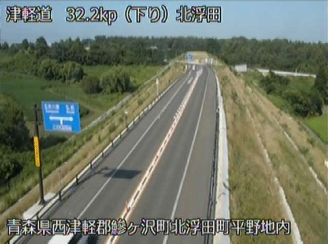 参考画像