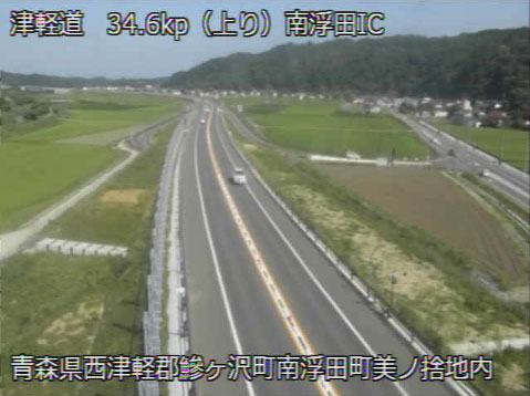 参考画像
