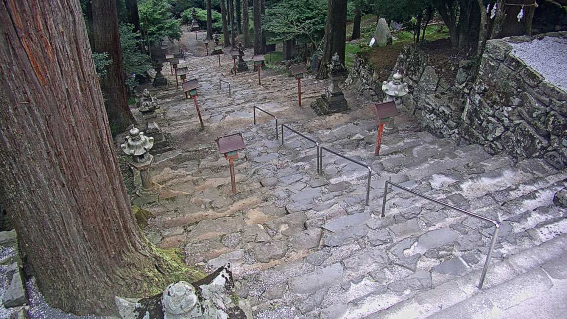 参考画像