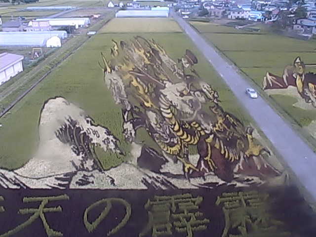 参考画像