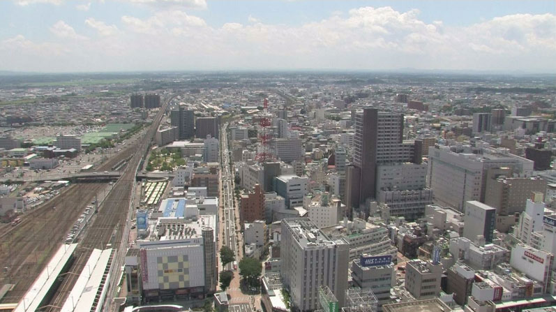 参考画像