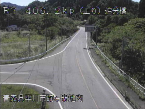 参考画像