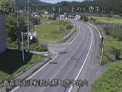 参考画像
