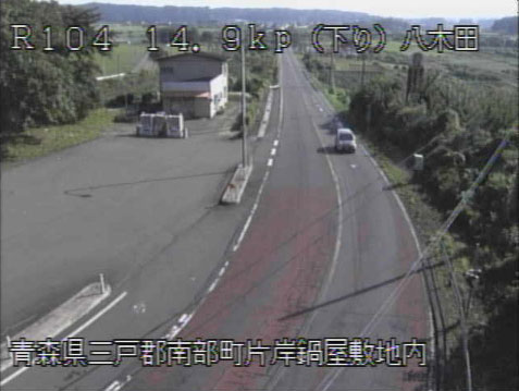 参考画像