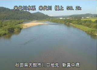 参考画像