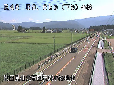 参考画像