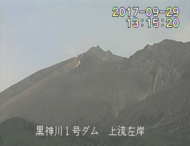 参考画像