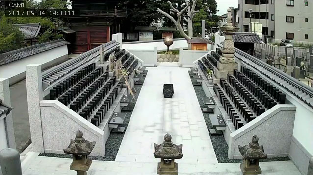 参考画像