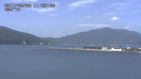参考画像