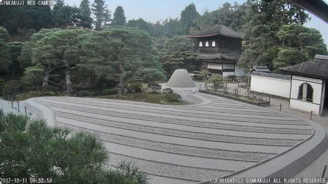 参考画像