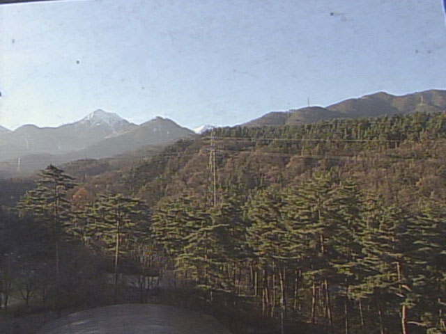 参考画像