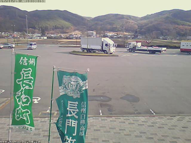 参考画像
