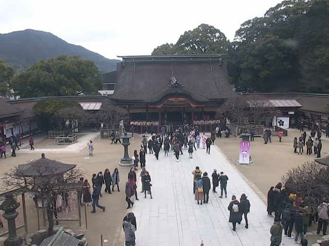 参考画像