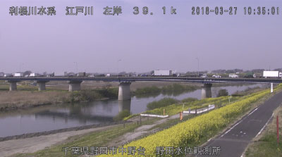 参考画像